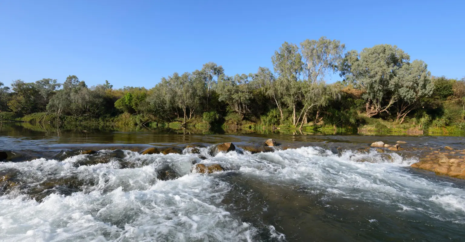 Boy, 7, heroically swims for an hour to save dad and sister stuck in river: 'I felt really scared'