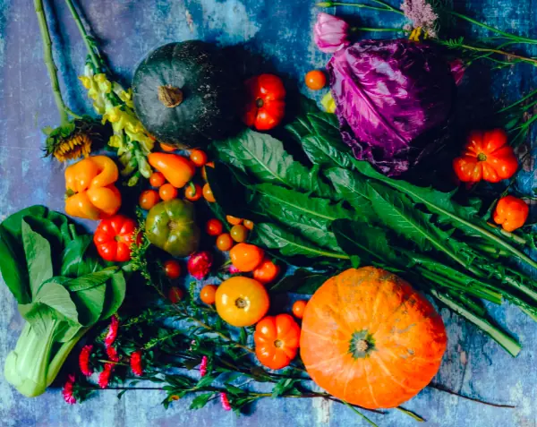 wp-image-1263111656 size-full