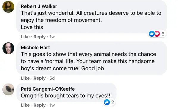 size-full wp-image-1263112562