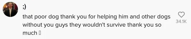 wp-image-1263113851 size-full