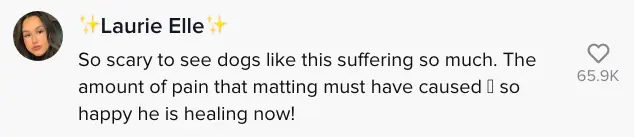 wp-image-1263113862 size-full