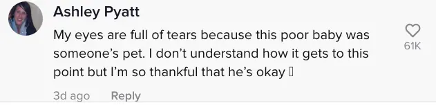 wp-image-1263113864 size-full