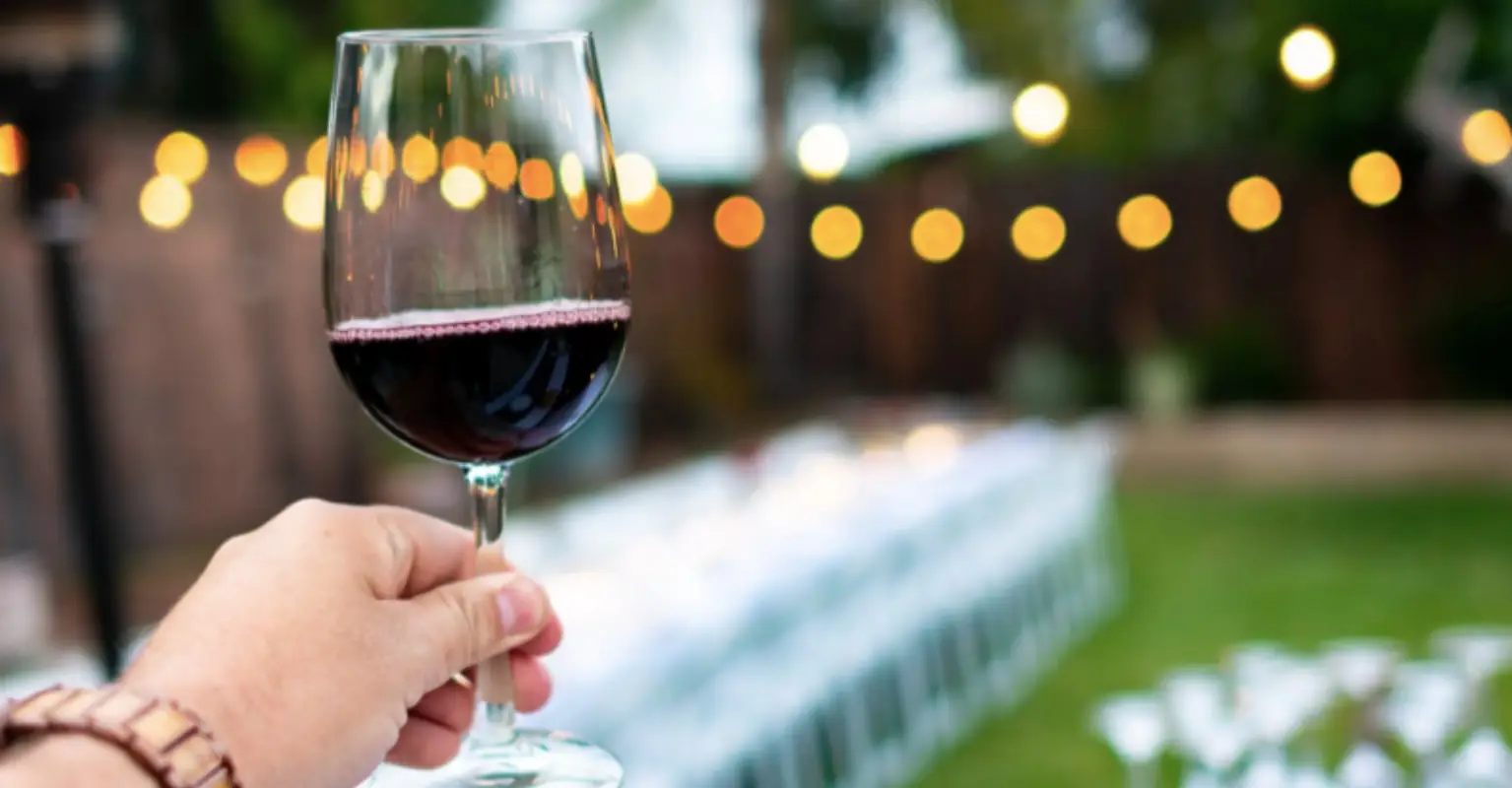 You can now get a 'wine wand' that claims to reduce hangovers