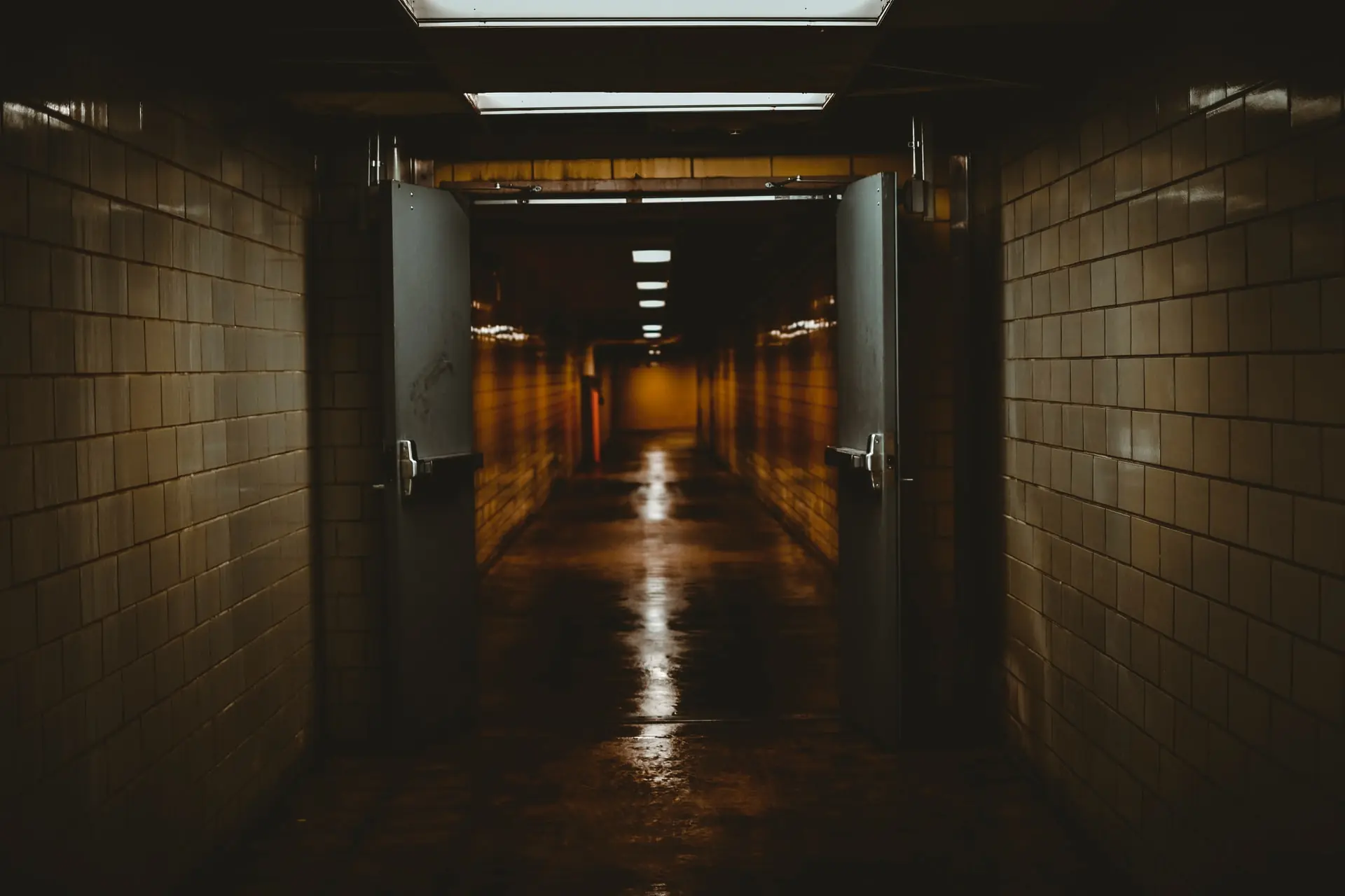 size-full wp-image-1263111341