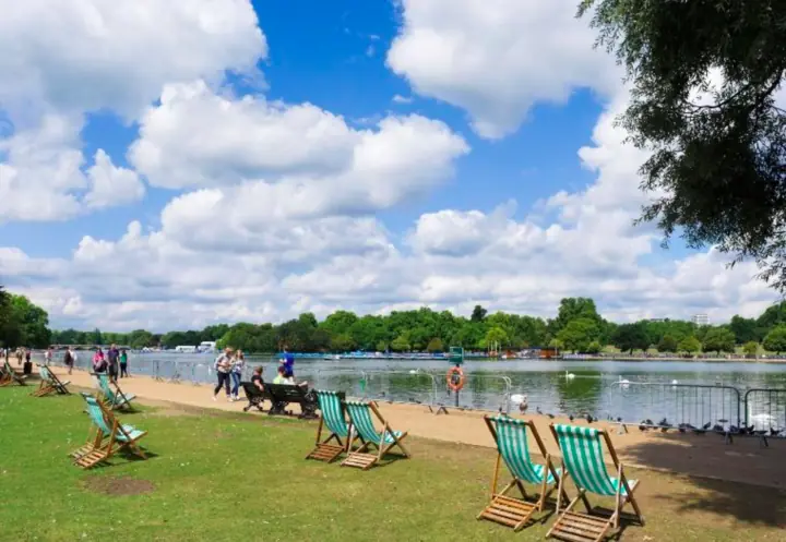 size-full wp-image-1263114225