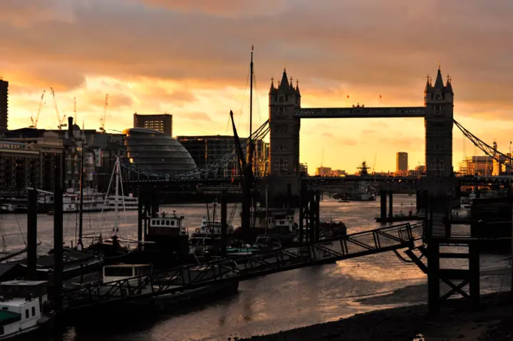 size-full wp-image-1263114227