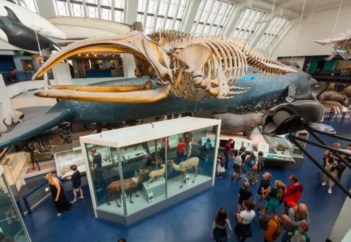 size-full wp-image-1263114231