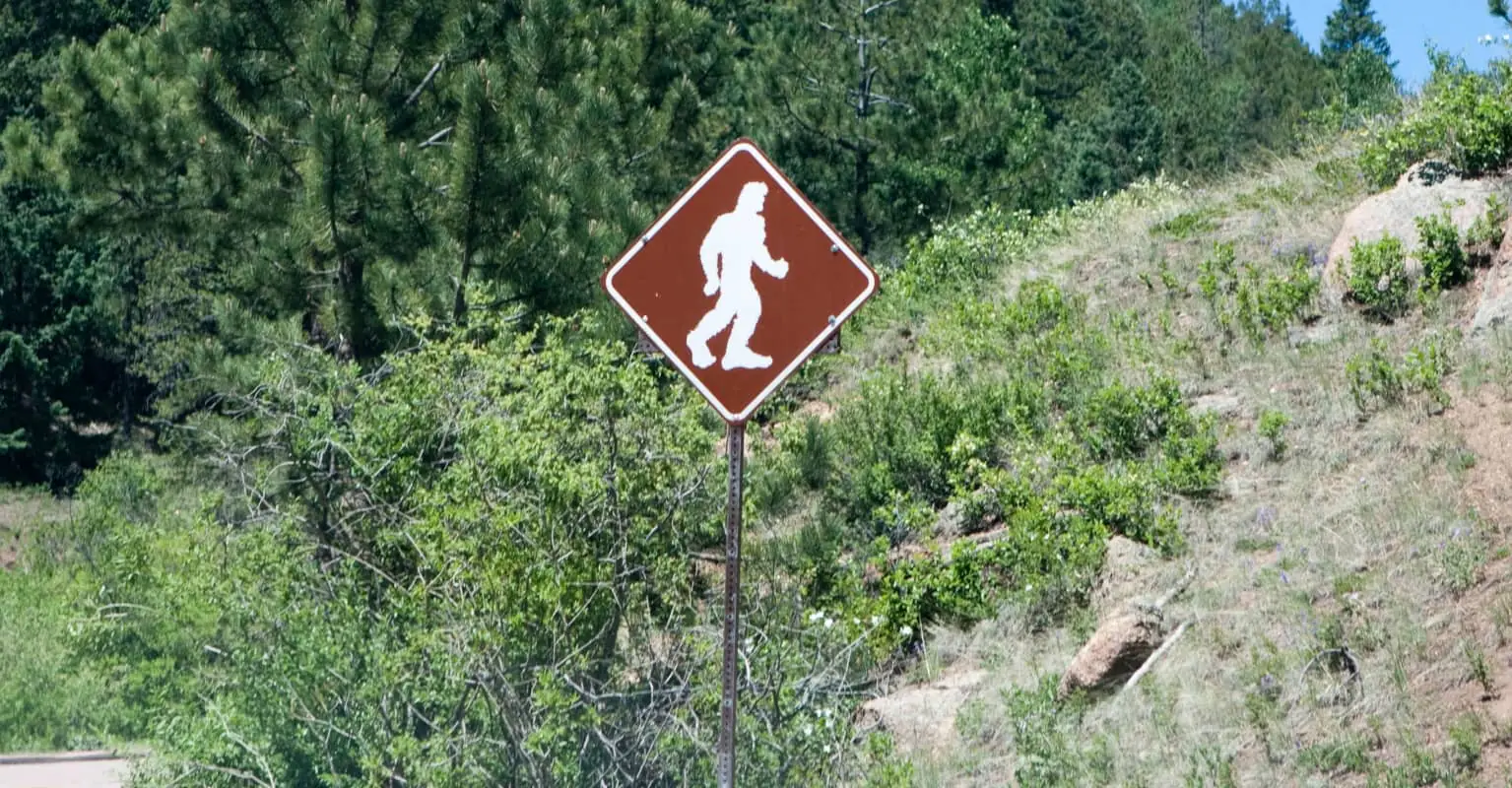 Children left horrified after mom hires Bigfoot for kids' birthday party