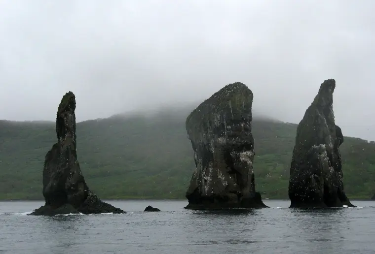 wp-image-1263116450 size-full