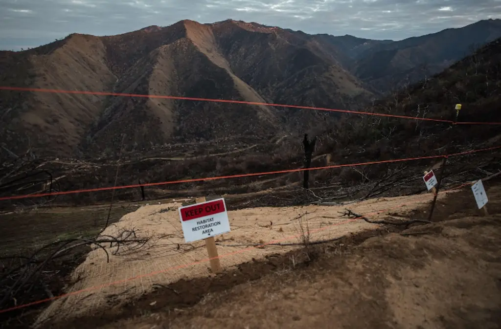 wp-image-1263118837 size-full