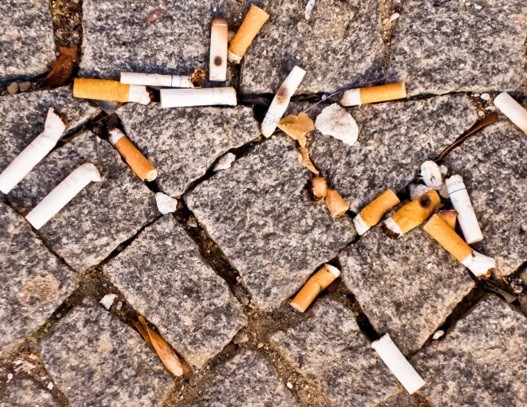 wp-image-1263116375 size-full