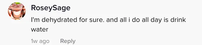 wp-image-1263116560 size-full