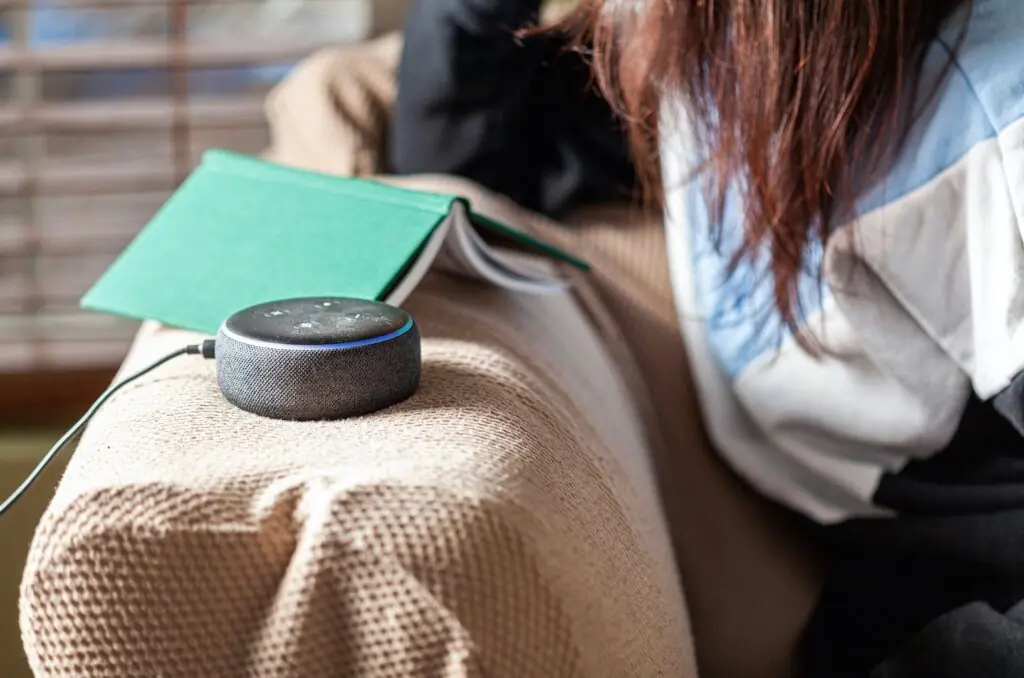 size-large wp-image-1263119384