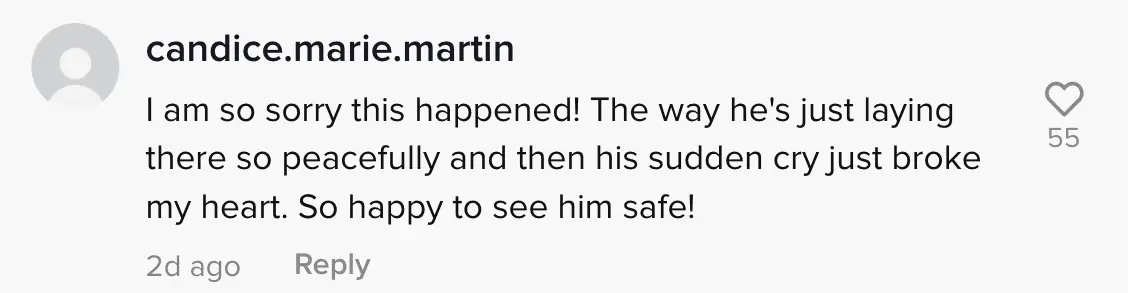 wp-image-1263117629 size-full