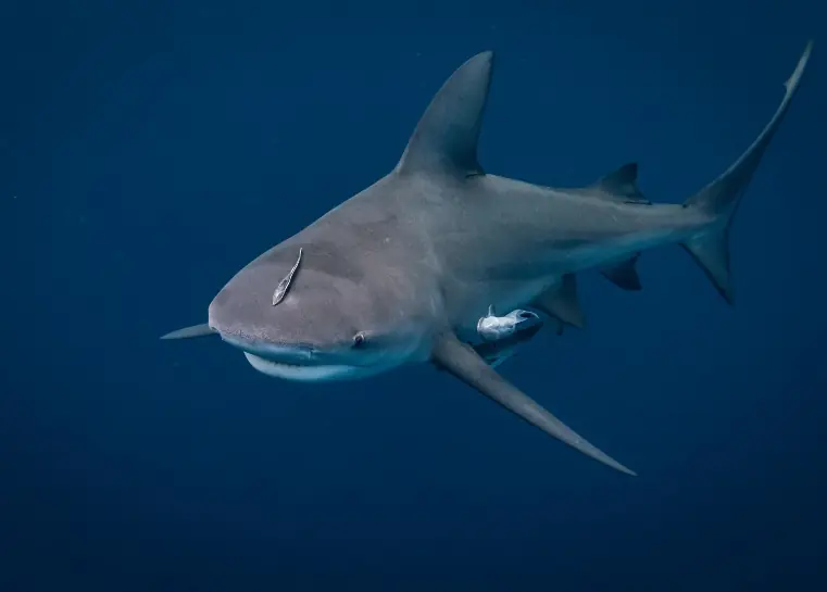 wp-image-1263117492 size-full