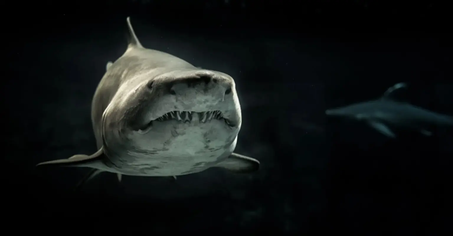 'Jackass' star hospitalized after being attacked by shark in stunt gone wrong