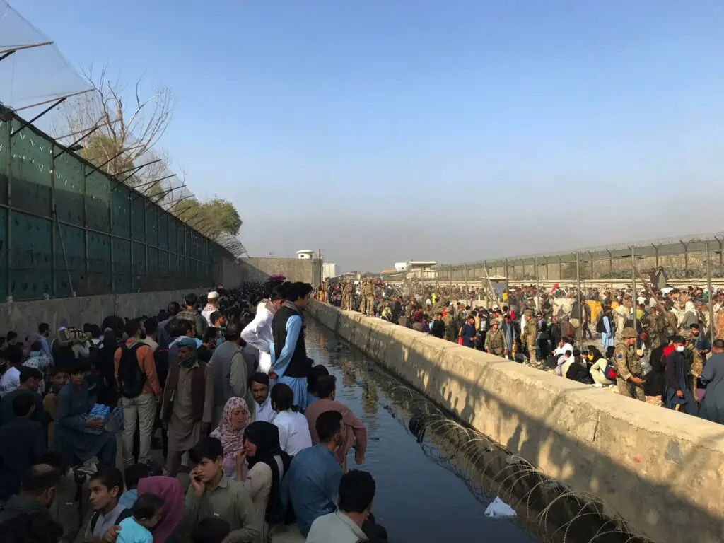  wp-image-1263124528
