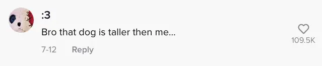 wp-image-1263121917 size-full