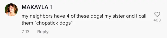 wp-image-1263121920 size-full