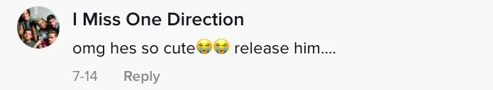 wp-image-1263122449 size-full