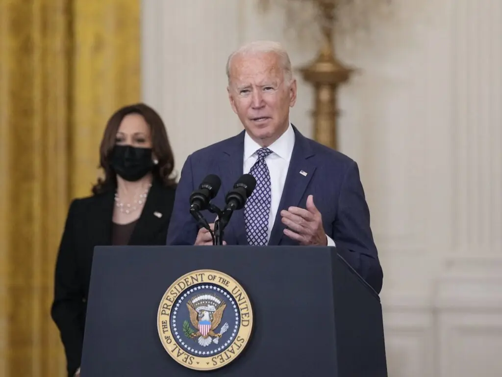 size-large wp-image-1263123401