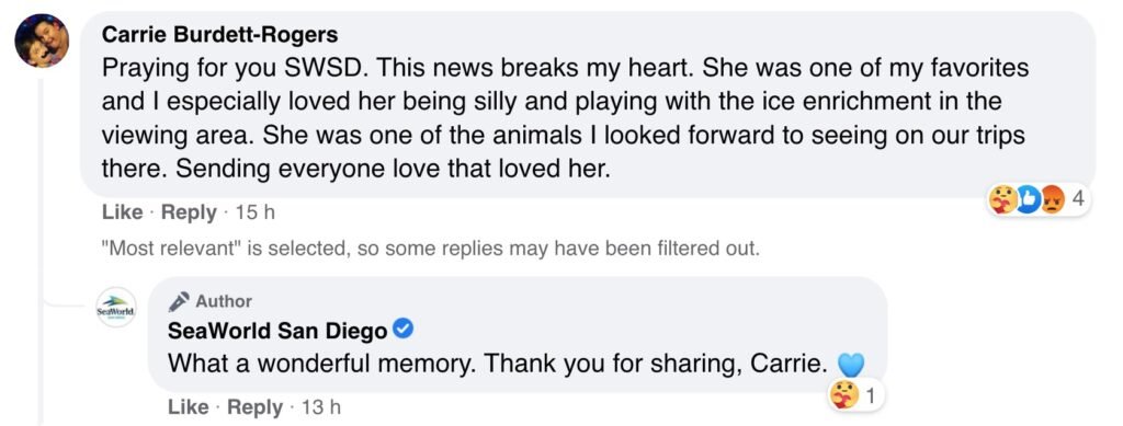 size-large wp-image-1263123428