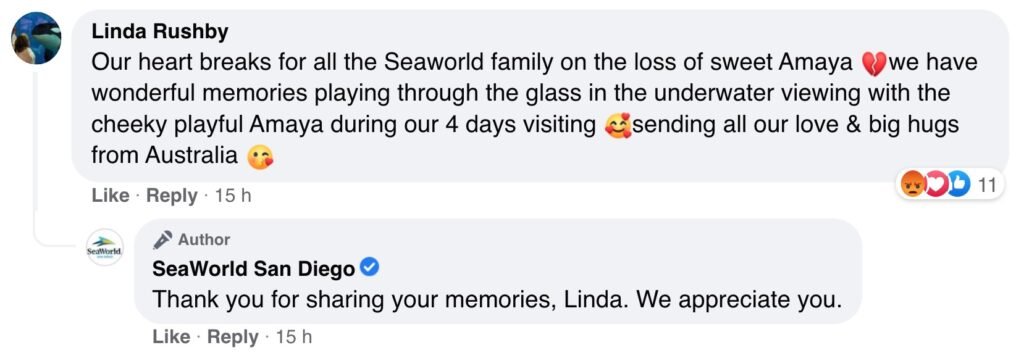 size-large wp-image-1263123427