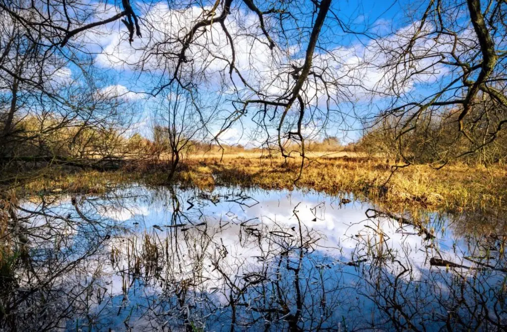 size-large wp-image-1263123756