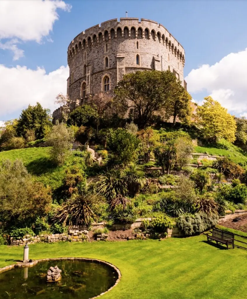 size-large wp-image-1263123767