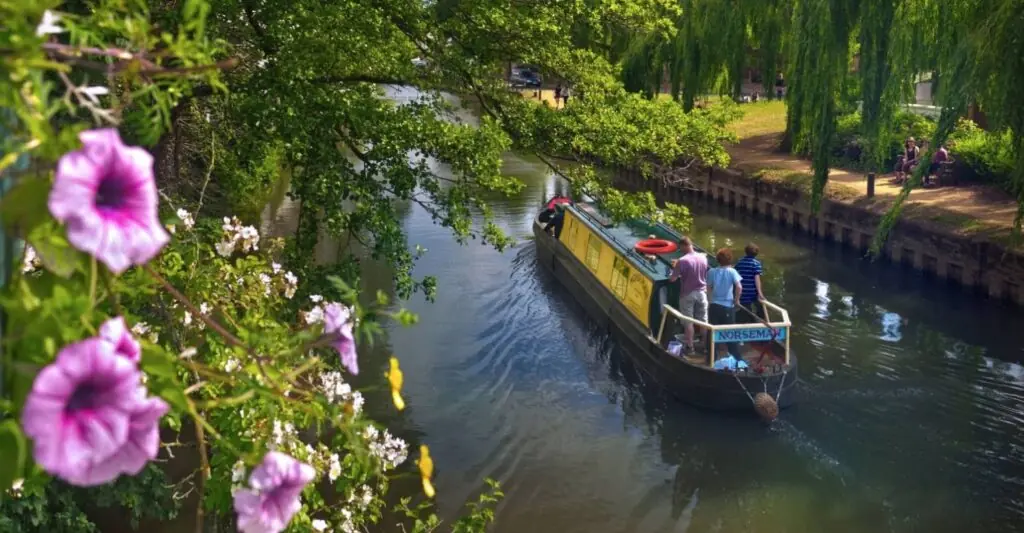 size-large wp-image-1263123770