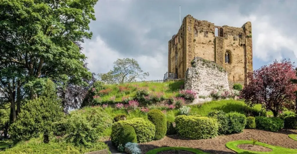 size-large wp-image-1263123771