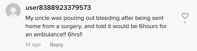 wp-image-1263124574 size-full