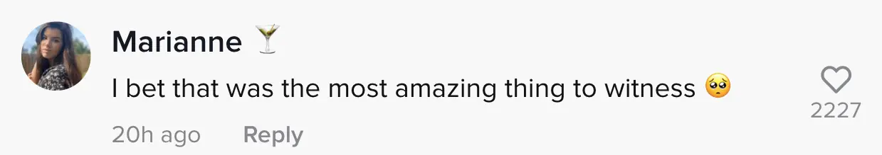 wp-image-1263123115 size-full