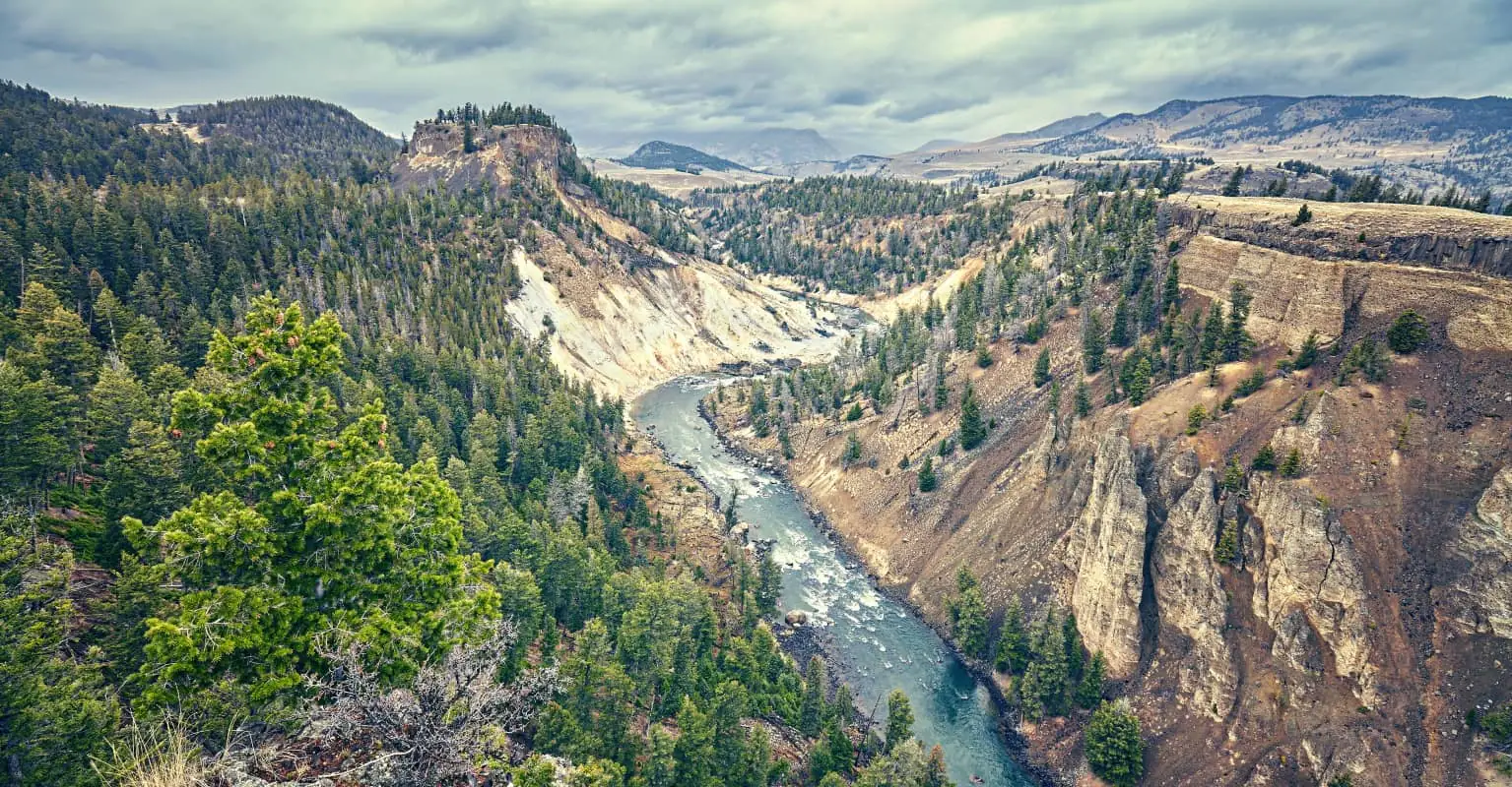 Cellphone footage in Yellowstone leads to woman facing federal charges