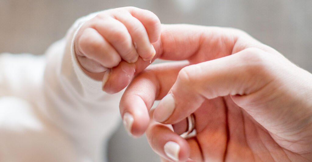 size-large wp-image-1263125336