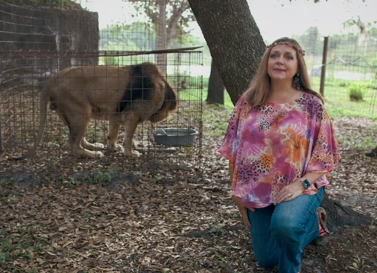 wp-image-1263126790 size-full