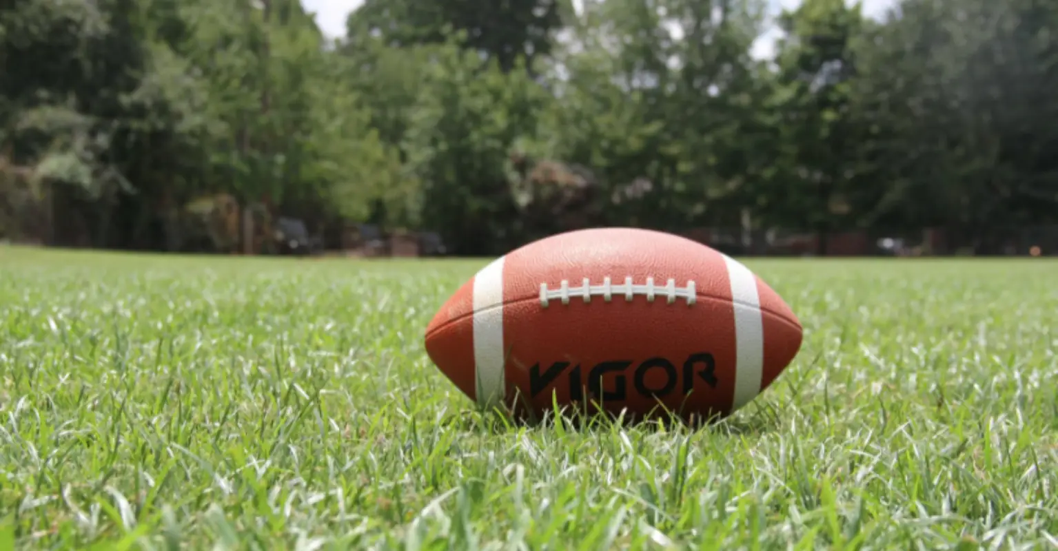 Cat leaves spectators stunned as it dangles and falls during college football game
