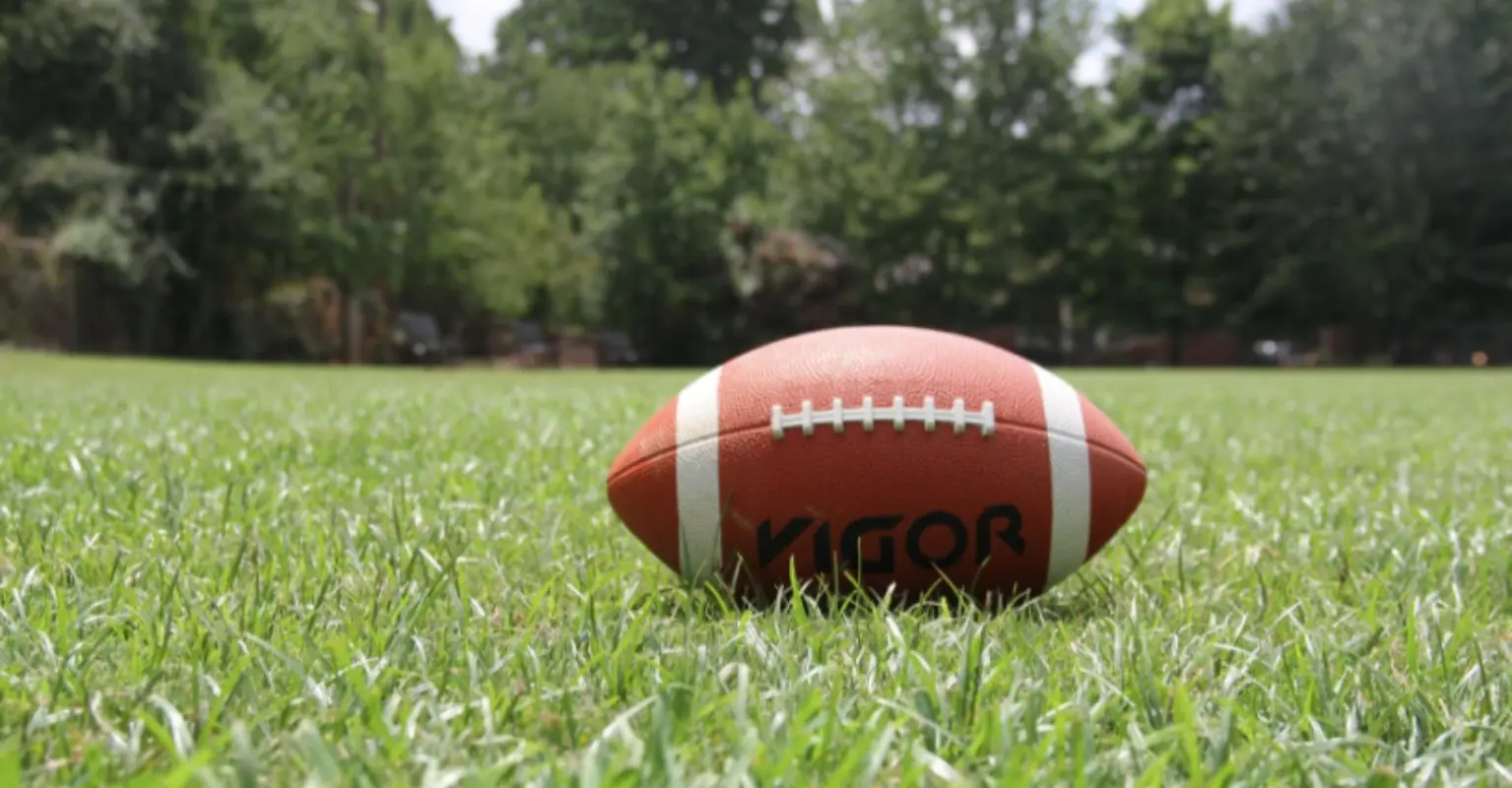 Cat leaves spectators stunned as it dangles and falls during college football game