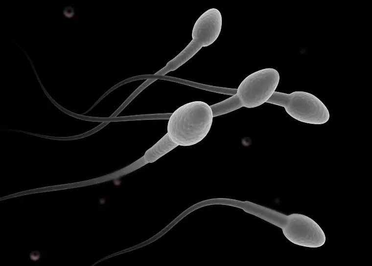 wp-image-1263127063 size-full