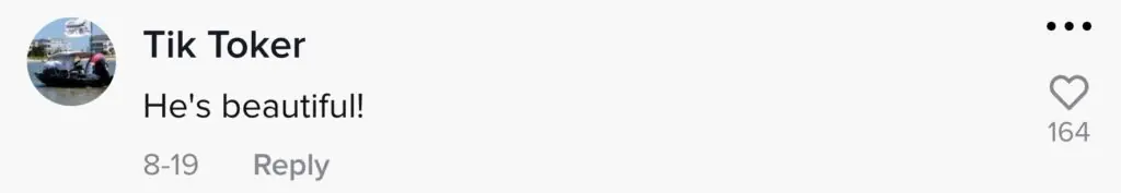 size-large wp-image-1263125335