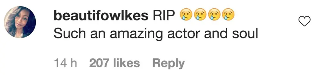 size-large wp-image-1263125577