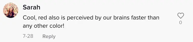 wp-image-1263125979 size-full