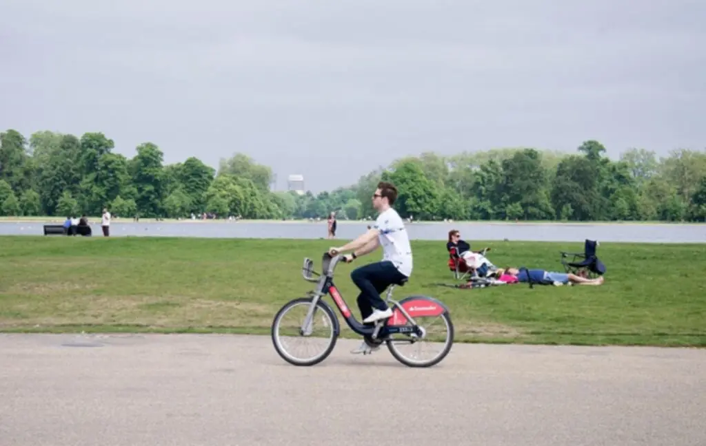 size-large wp-image-1263126602