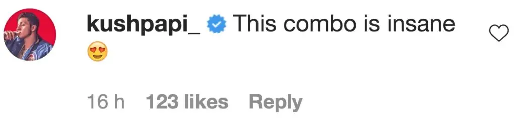 size-large wp-image-1263127122