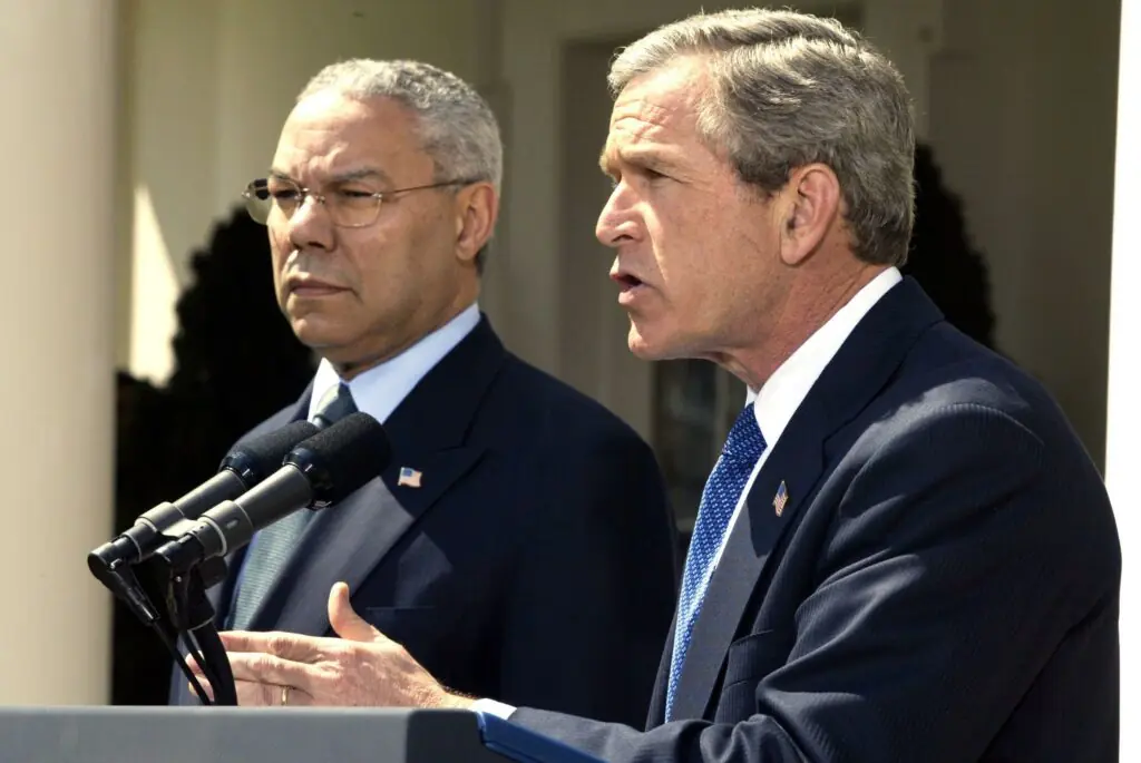 size-large wp-image-1263129980