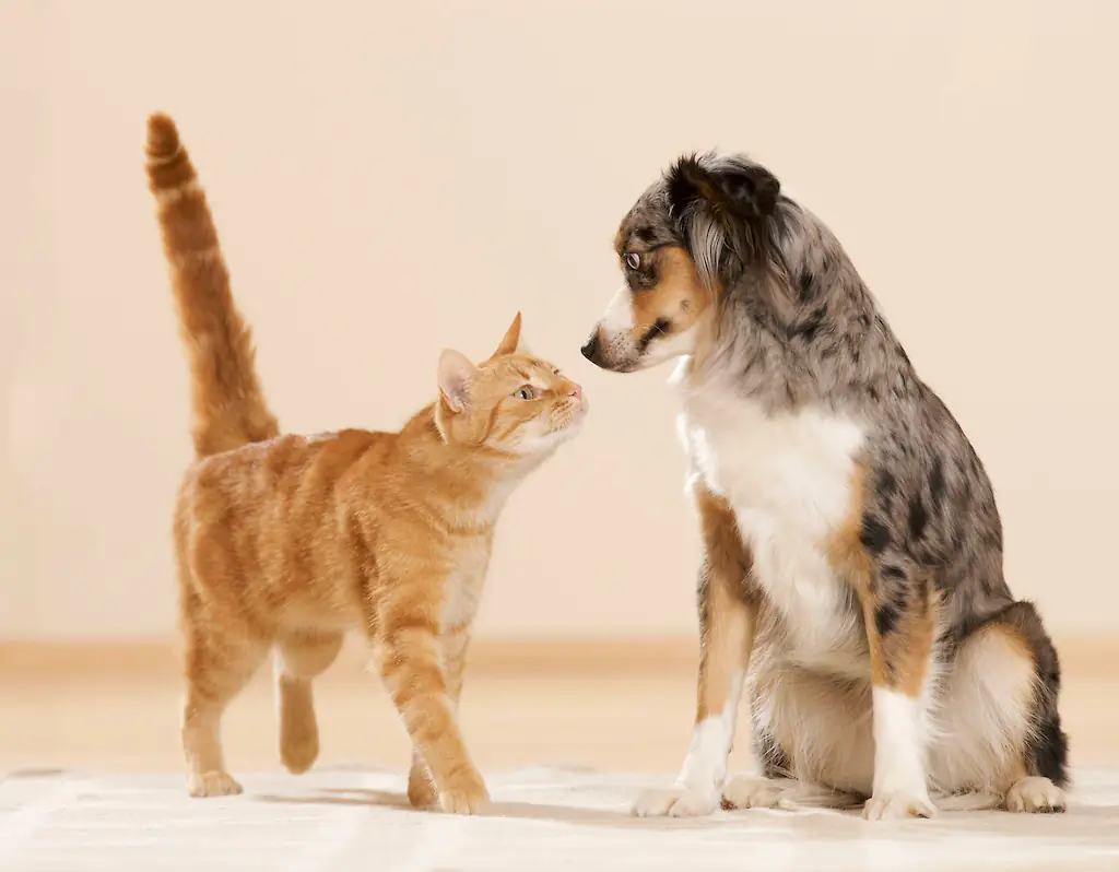 size-full wp-image-1263129005