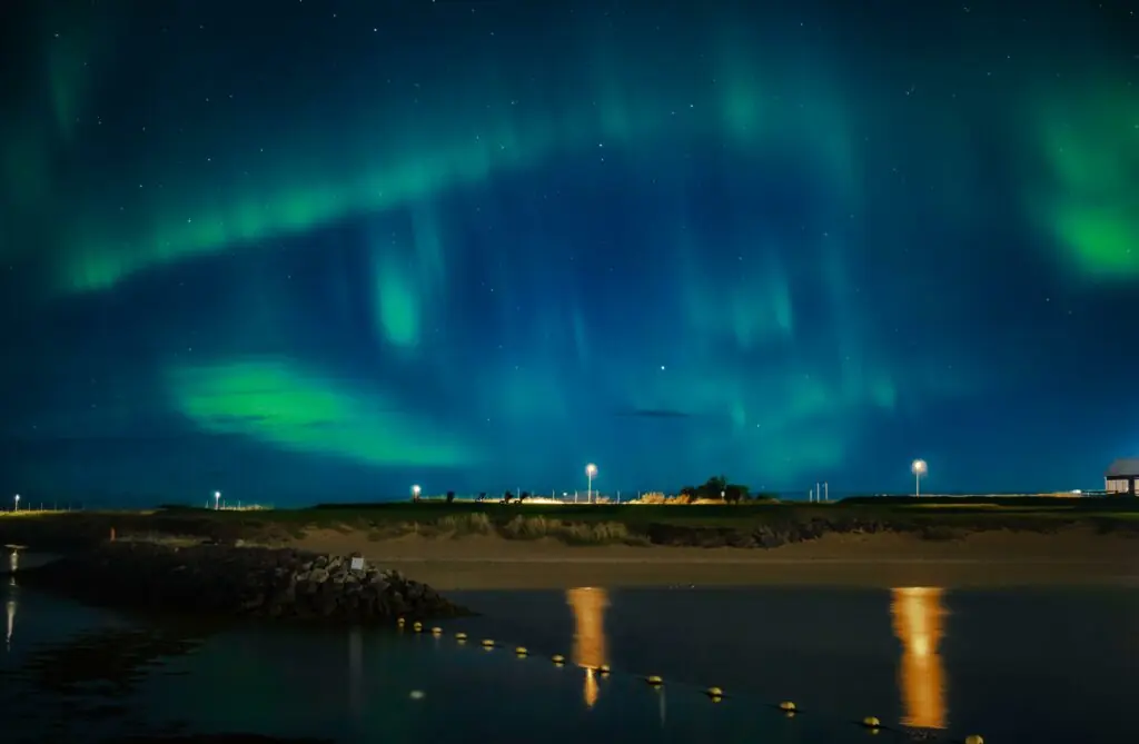 size-large wp-image-1263133079