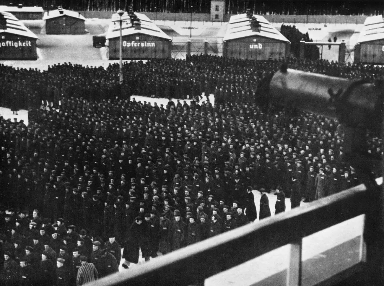 size-full wp-image-1263128981