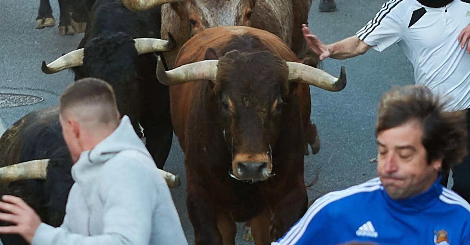 Man, 55, dies after being gored by bull at running festival in Spain