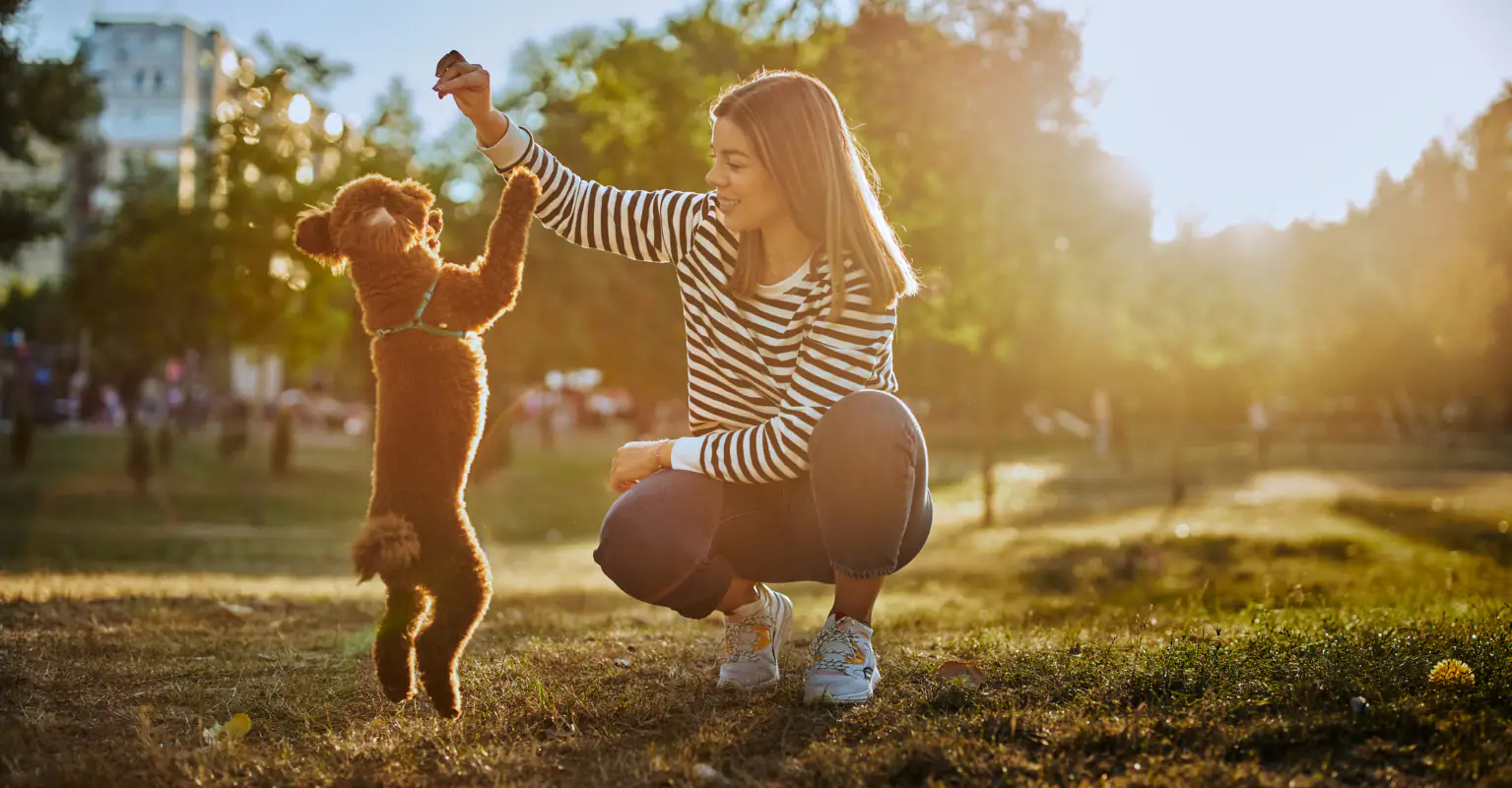 Debate breaks out online over whether or not workers should get 'pawternity' leave